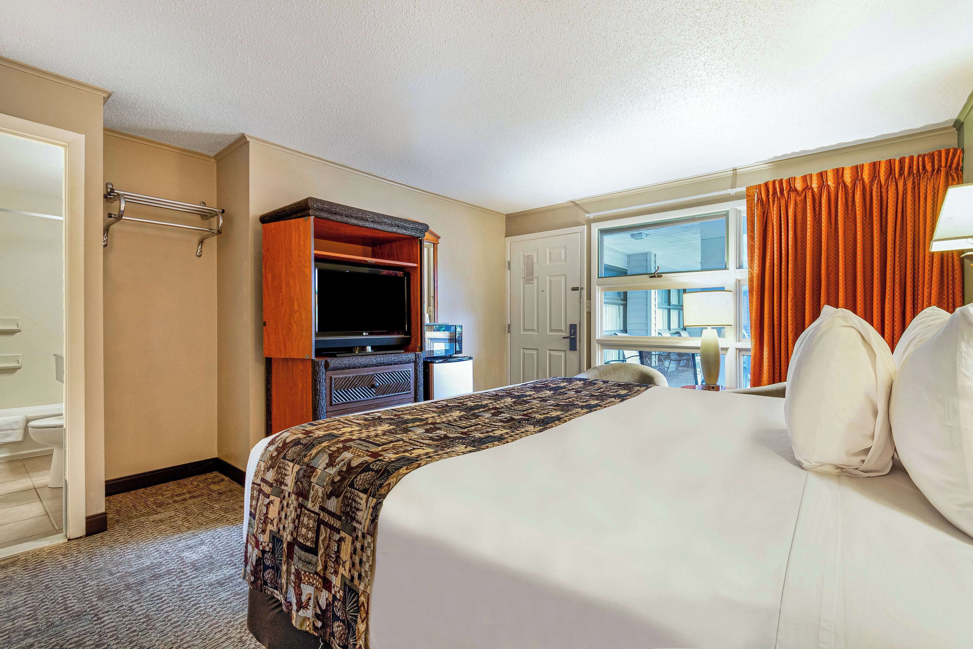 A hotel room with a bed, a television, a window with curtains, and a door.