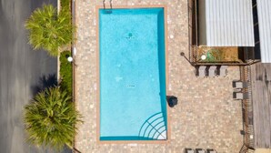 Vue aérienne d’une piscine rectangulaire bordée d’une terrasse carrelée, entourée de palmiers et d’un espace de détente abrité.