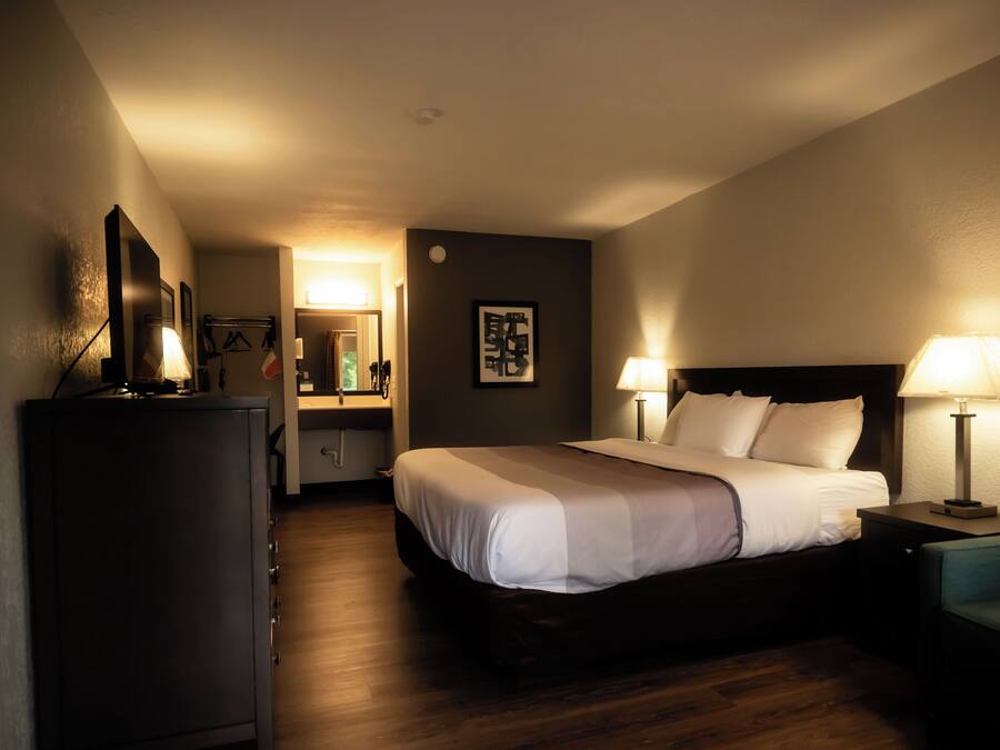 Standaard kamer, 1 kingsize bed, niet-roken | Een bureau, verduisterende gordijnen, gratis wifi, beddengoed