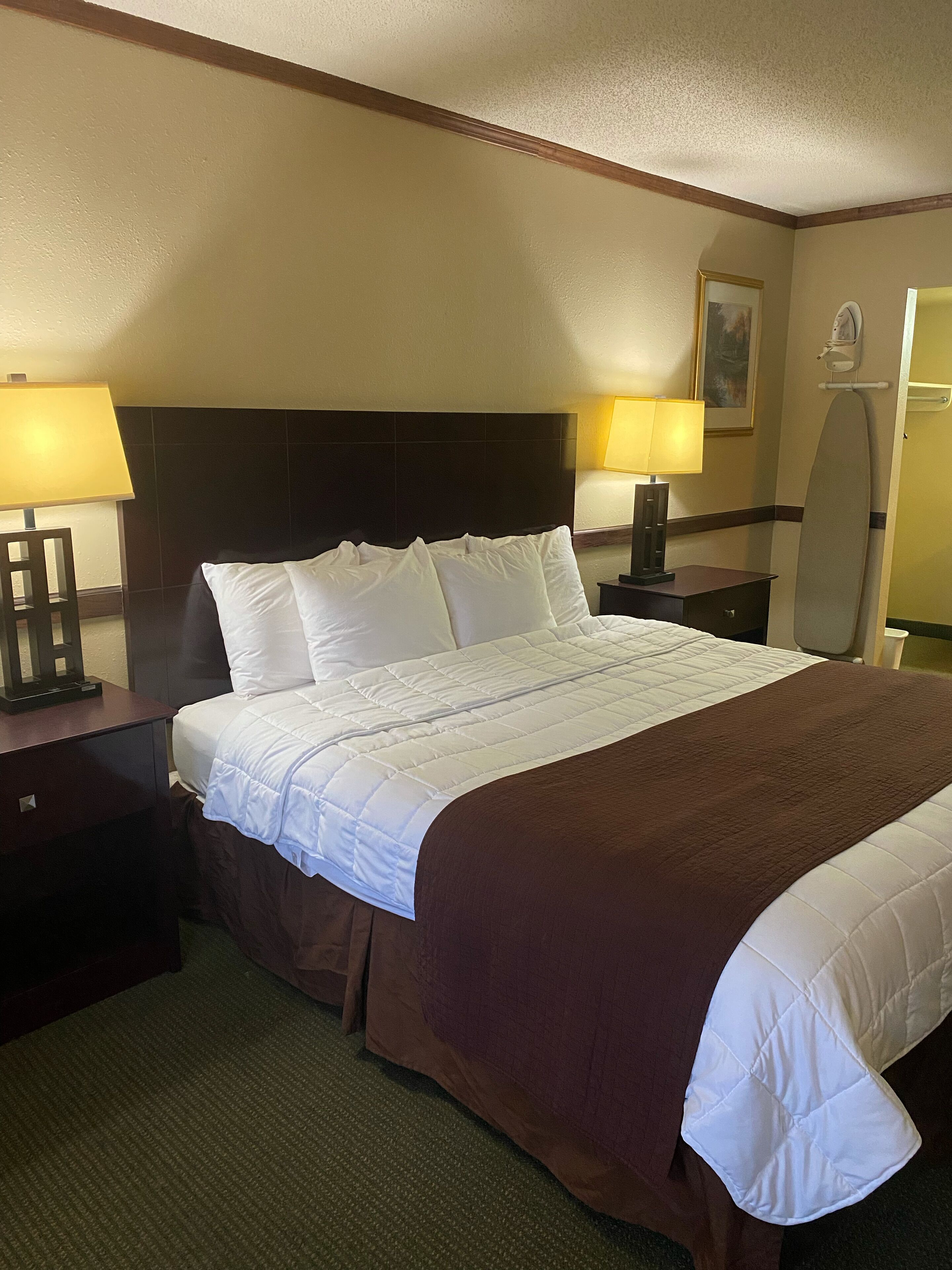 Standard Room, 1 King Bed, Non Smoking - Pet Room