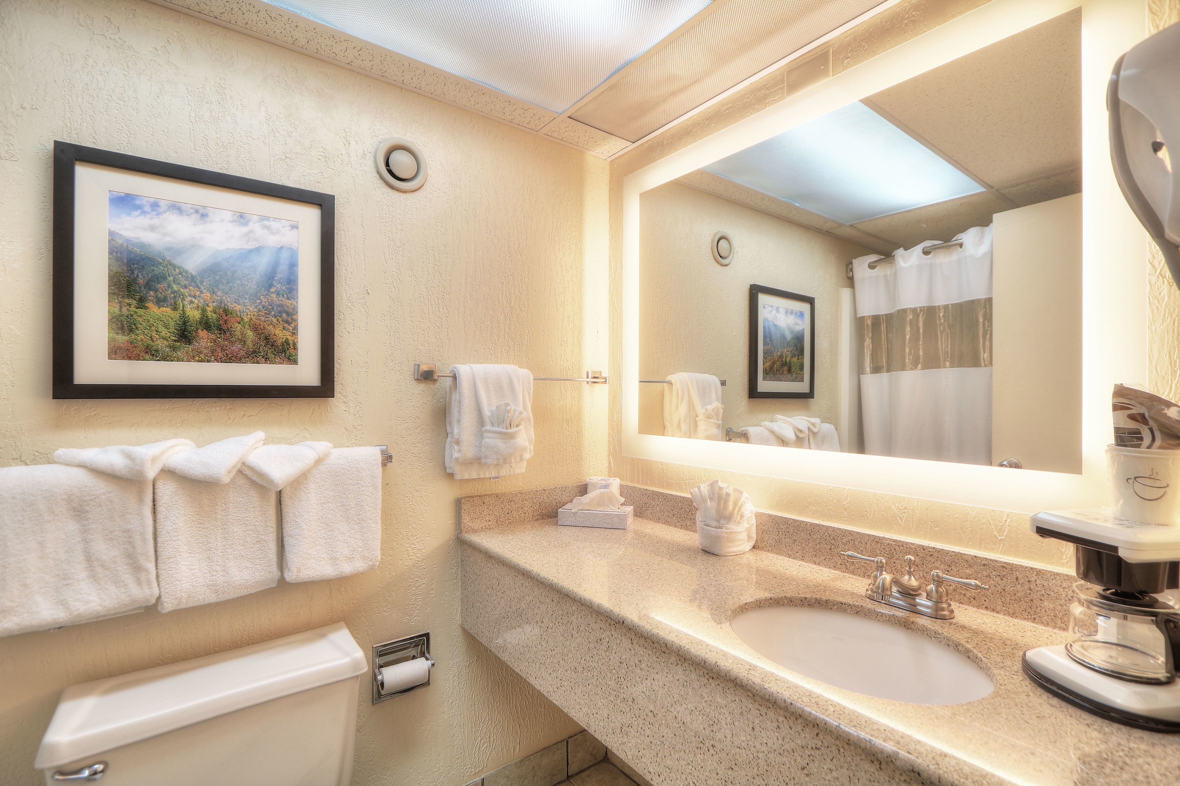 standard room, 2 queen beds, mountainside | bathroom | combined shower/bathtub, free toiletries, hair dryer, towels