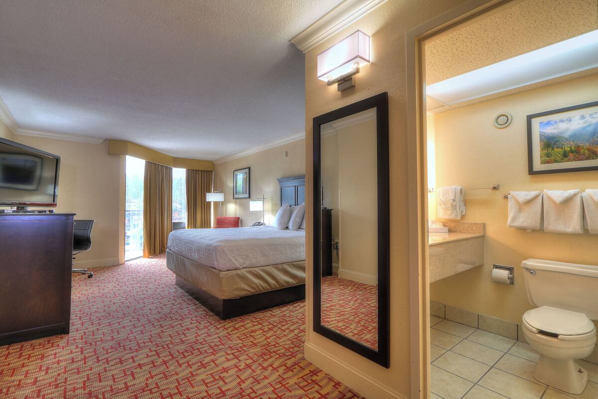 A hotel room with a bed, a desk, a television, a bathroom with a toilet, and a large mirror.