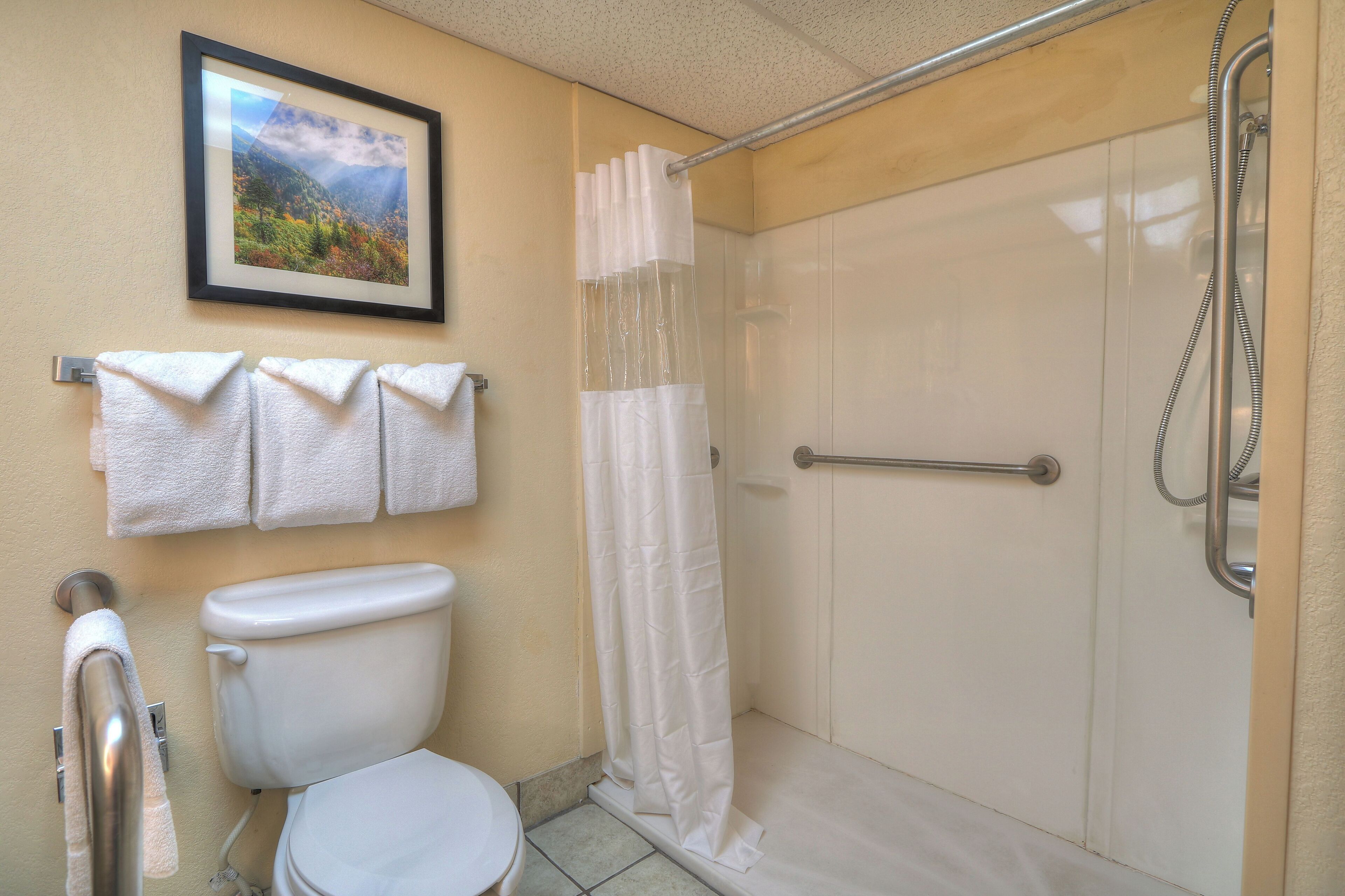 A bathroom with a toilet, a shower with a glass door, and a framed picture on the wall.