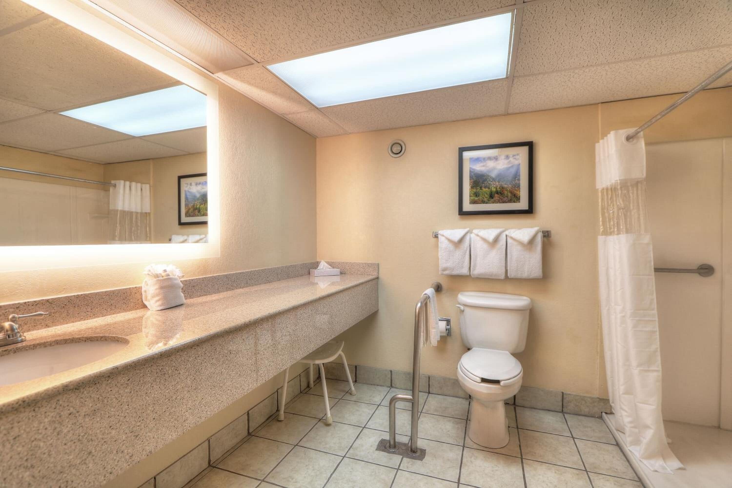 standard room | bathroom | combined shower/bathtub, free toiletries, hair dryer, towels