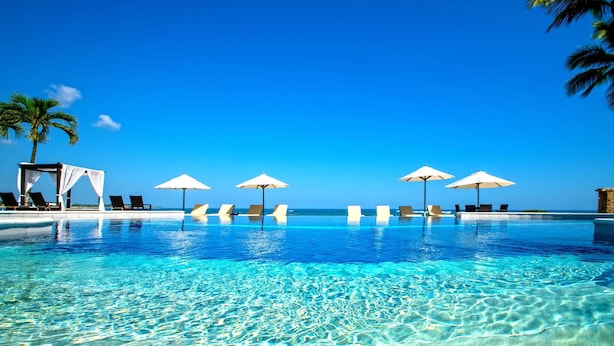 Piscina azul límpida com espreguiçadeiras e guarda-sóis, uma palmeira e céu claro.
