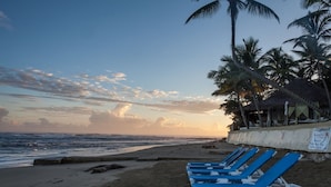 Uma praia com cadeiras azuis dispostas em linha, palmeiras e céu claro.