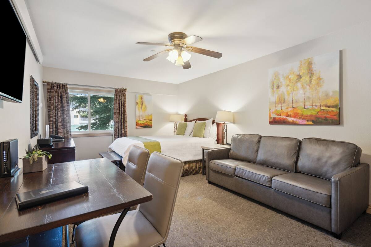 A hotel room with a bed, a sofa, a desk, and a ceiling fan.