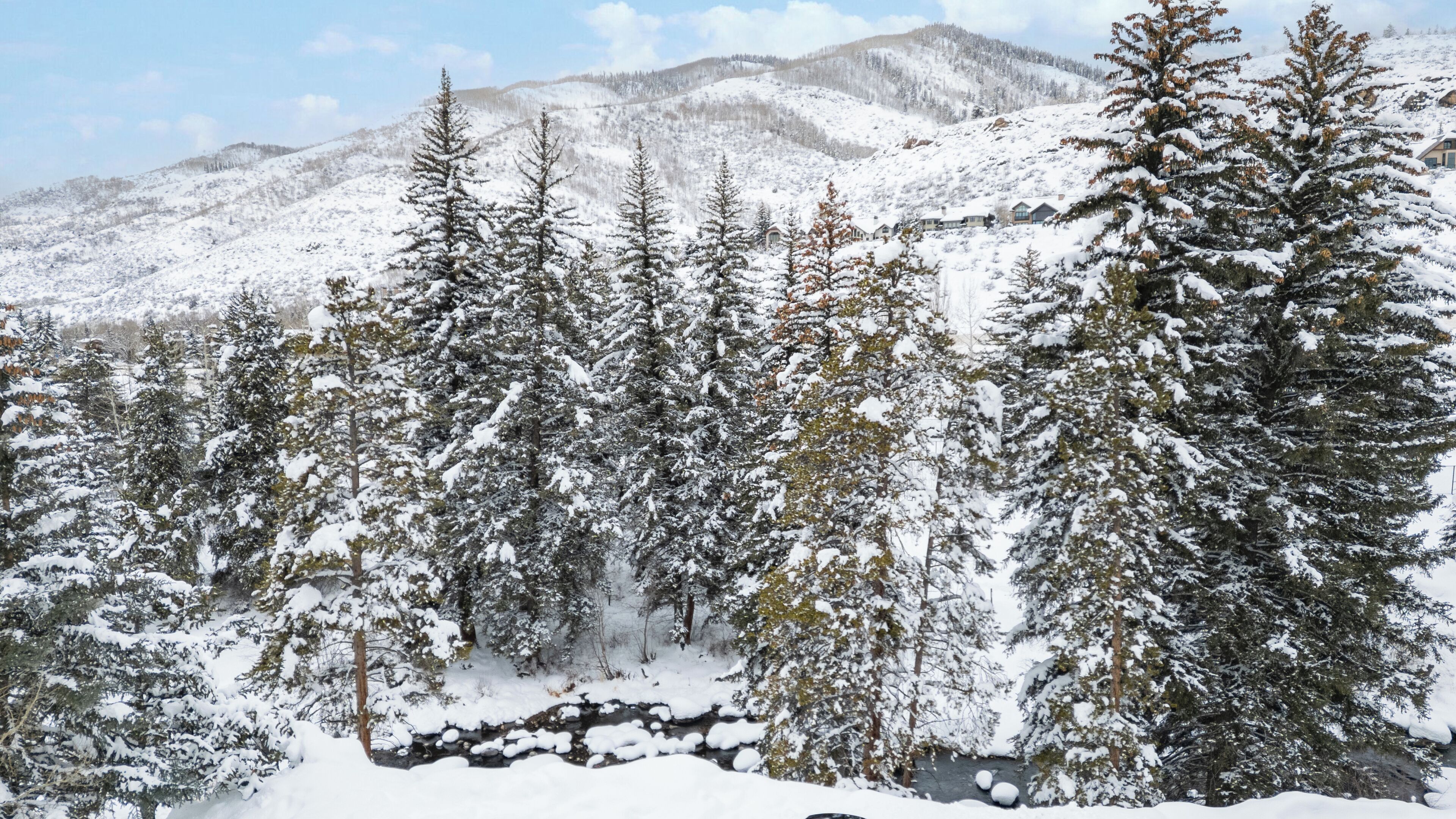 A snowy mountain landscape with evergreen trees and a small stream.