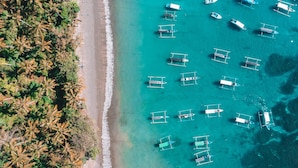 An aerial view of a beach with numerous boats anchored in the water and dense palm trees along the shore. - Alila Manggis, Bali (Manggis)