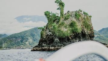 A rocky island with lush greenery in a body of water, surrounded by mountains.