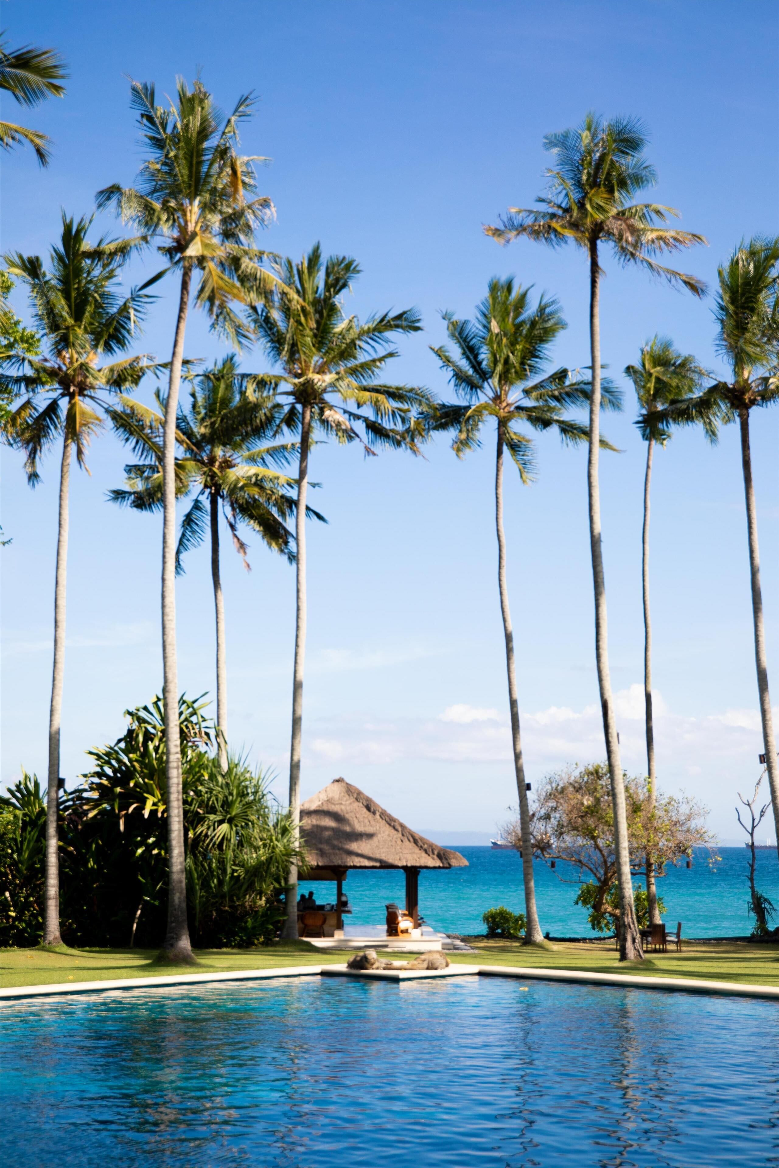 outdoor pool, pool loungers
