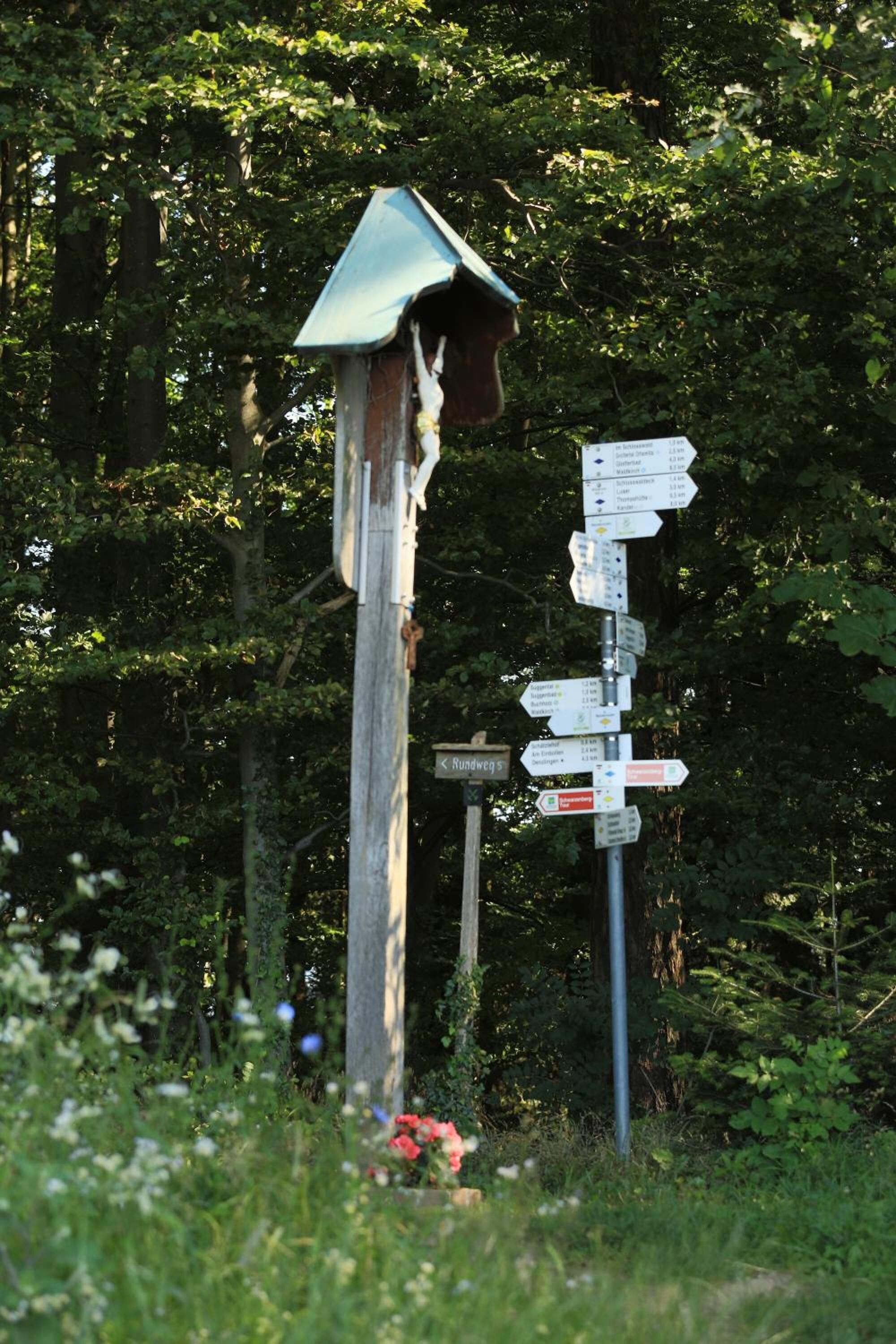 A wooden signpost with multiple directional signs in a forested area.