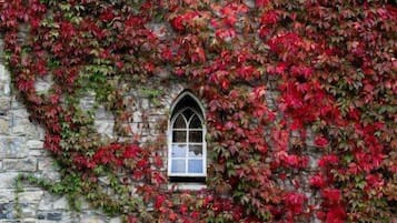 A stone building with a large arched window and a smaller window below it, both covered with red ivy.