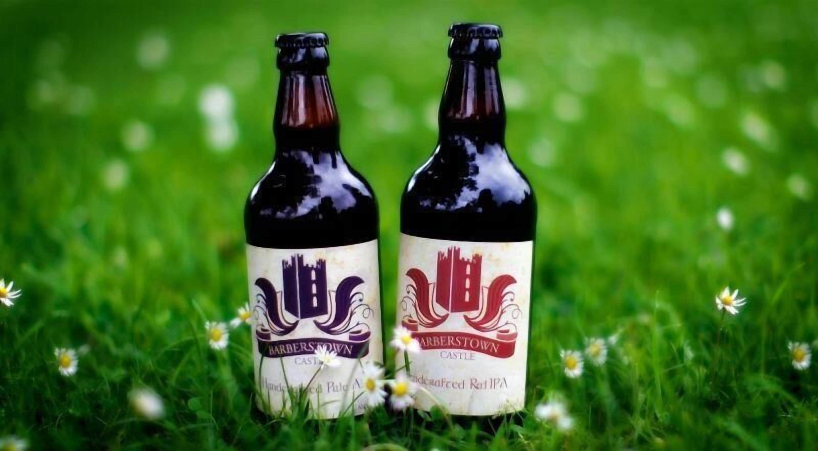 Dos botellas de cerveza sobre un campo cubierto de margaritas.