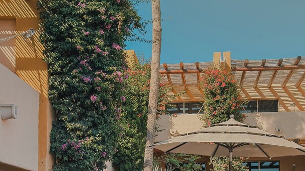 Una piscina con sillones de descanso, una pérgola con sombrilla y abundante vegetación.
