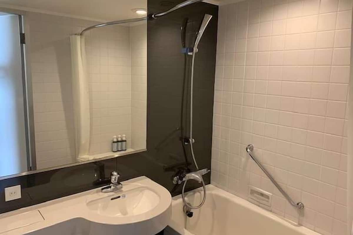 Bathroom | Combined shower/tub, free toiletries, hair dryer, slippers