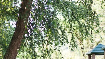 Relax in a serene park setting with a wooden slide and Adirondack chairs under a tree.
