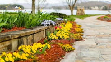 Jardines del alojamiento