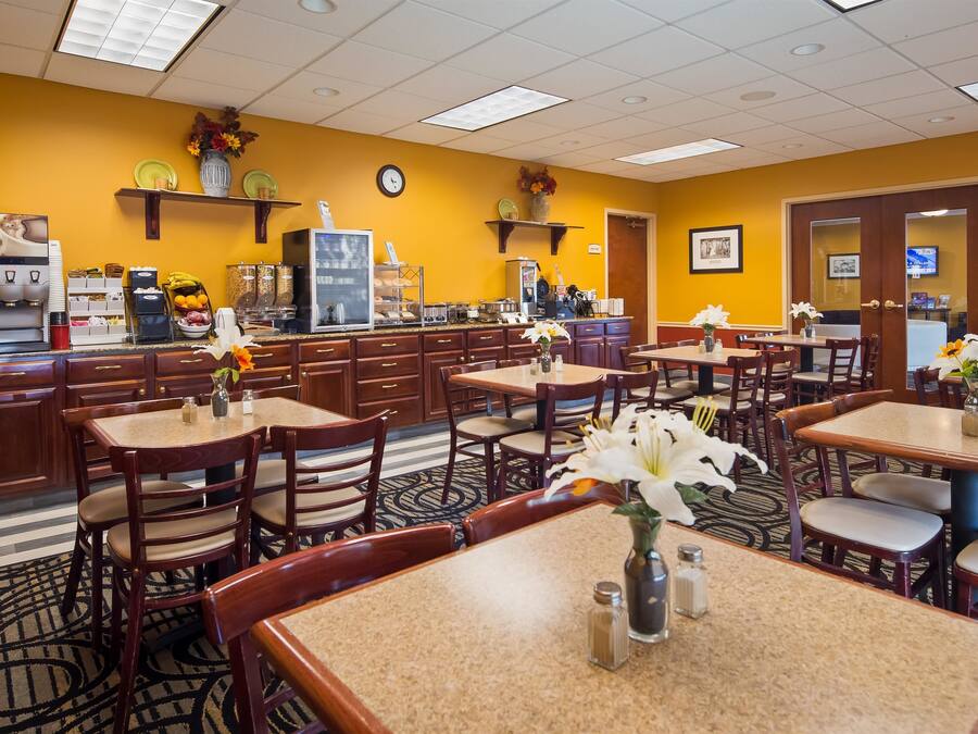 Comedor de hotel con varias mesas y sillas, zona de cocina con máquinas de café y jarrones decorativos con flores.