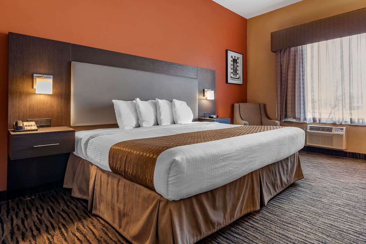 Standard Room, 1 King Bed, Non Smoking, Refrigerator | Desk, blackout drapes, iron/ironing board, cribs/infant beds