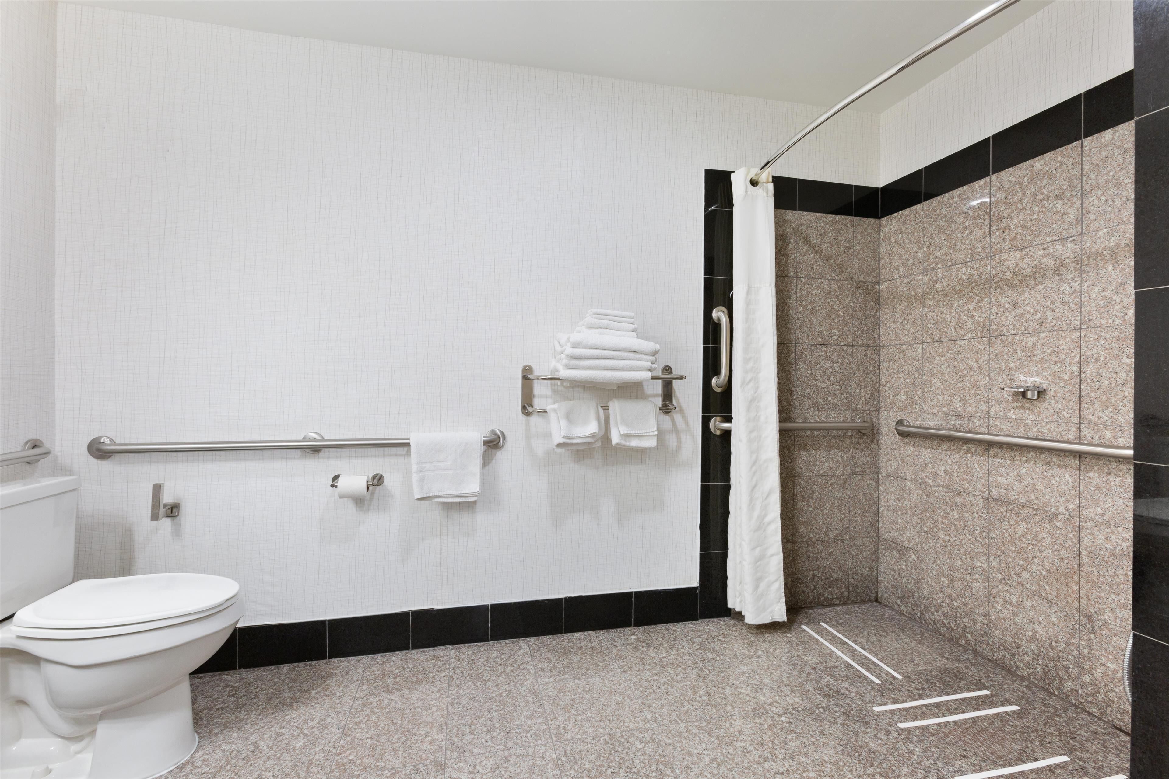 standard room, 1 king bed, accessible, non smoking (walk-in shower) | bathroom | free toiletries, hair dryer, towels