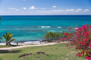 Vue depuis l’hébergement