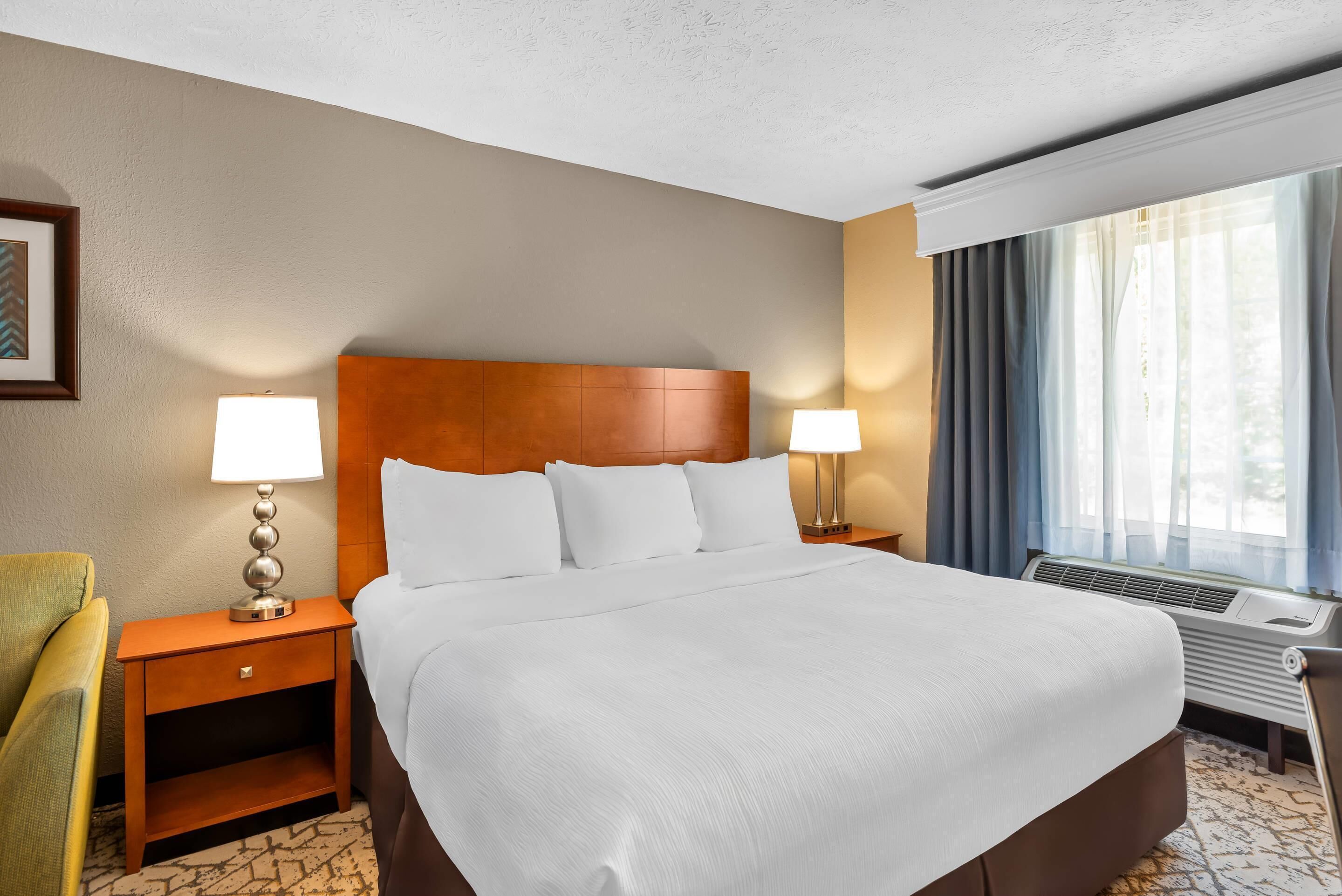 Standard Room, 1 King Bed, Non Smoking