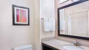 A bathroom with a toilet, a sink with a mirror, and a framed picture on the wall. - Holiday Inn Express Hotel & Suites Murphy by IHG (Murphy)