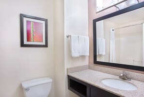 A bathroom with a toilet, a sink with a mirror, and a framed picture on the wall. - Holiday Inn Express Hotel & Suites Murphy by IHG (Murphy)