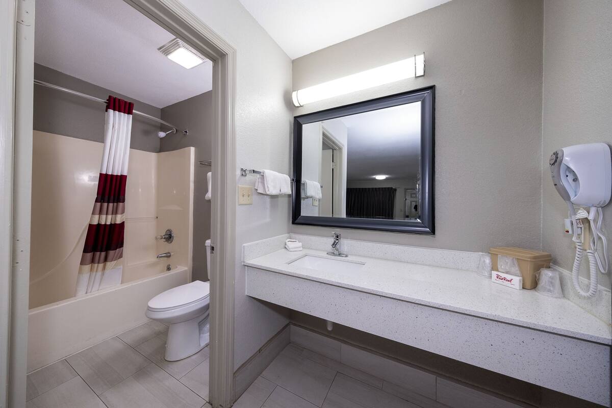 A bathroom with a shower, toilet, sink, and a mirror.