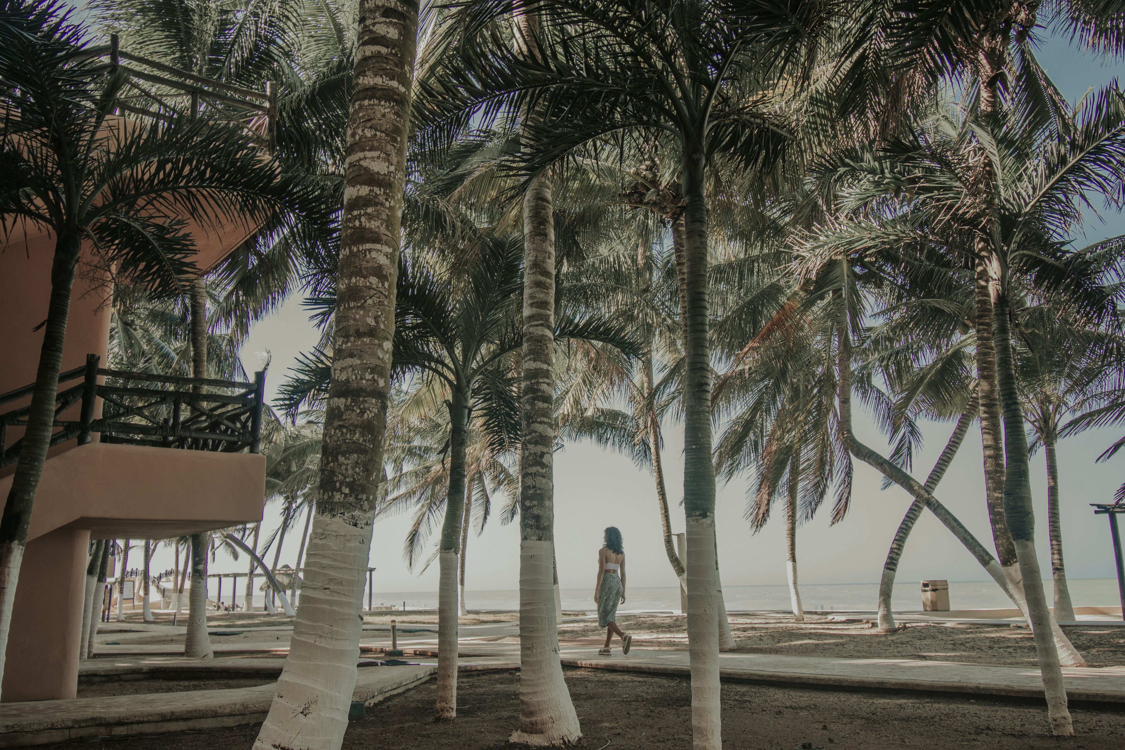 Uma praia com palmeiras e uma pessoa caminhando.