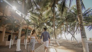 A pathway lined with palm trees leading to a building with a beige facade. - Reef Yucatan Hotel and Convention Center All Inclusive (Telchac Puerto)