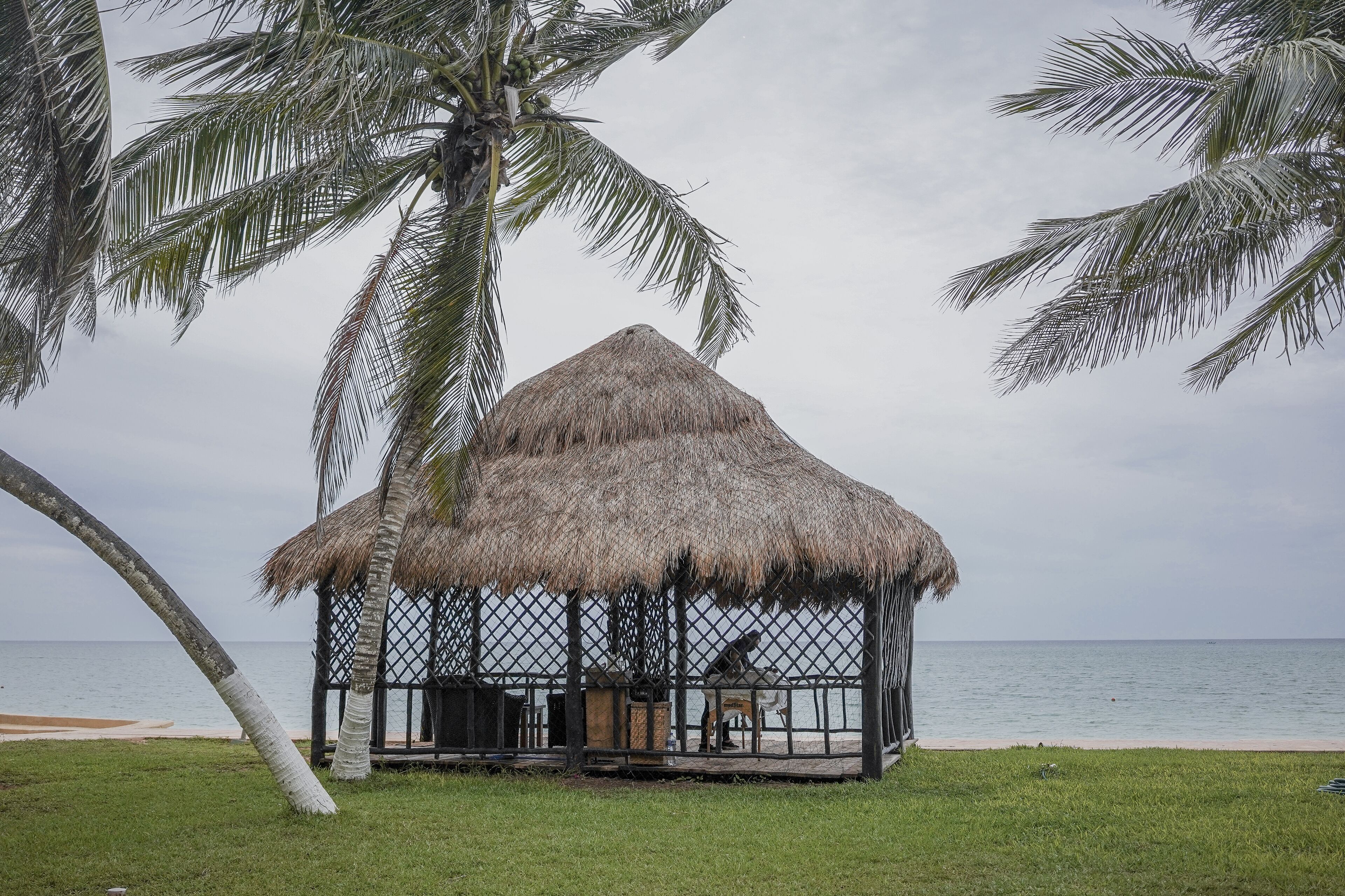 A thatched-roof gazebo with a lattice structure, located on a grassy area near a beach with palm trees and the ocean in the background.