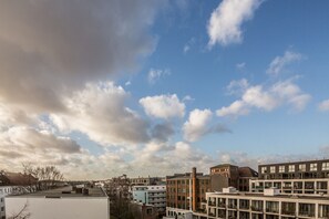 Suite 501 | View from room