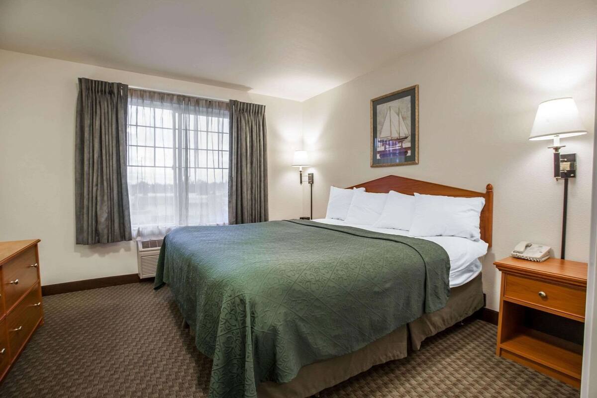 A hotel room with a bed, a bedside lamp, a nightstand, a dresser, a window with curtains, and a framed picture on the wall.