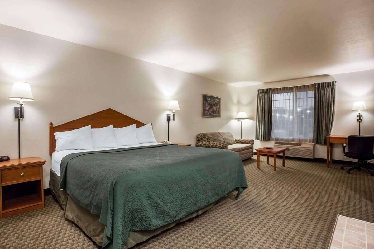 A hotel room with a bed, a desk, a chair, a sofa, a lamp, and a window with curtains.