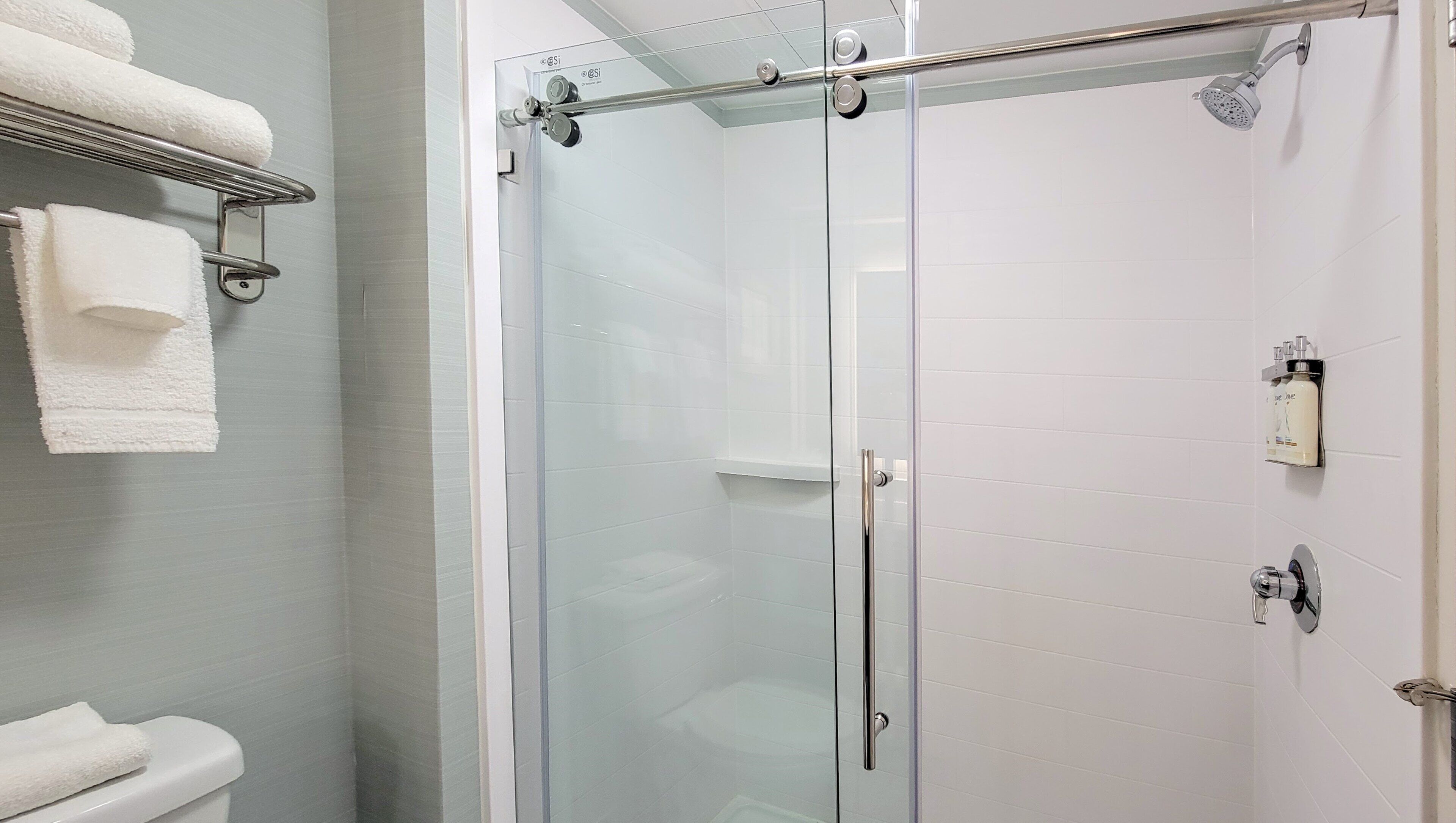 A modern bathroom with a glass shower enclosure, a white toilet, and a towel rack.