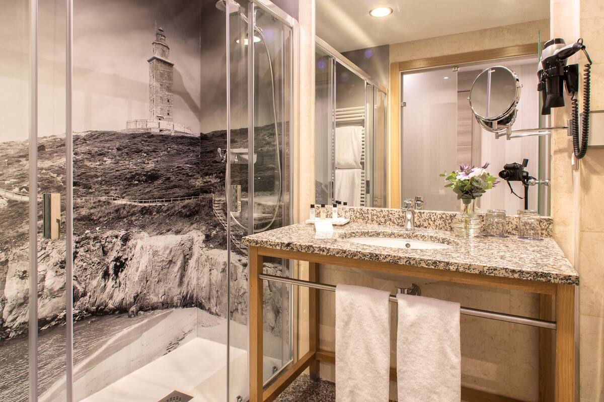 combined shower/bathtub, free toiletries, hair dryer, towels