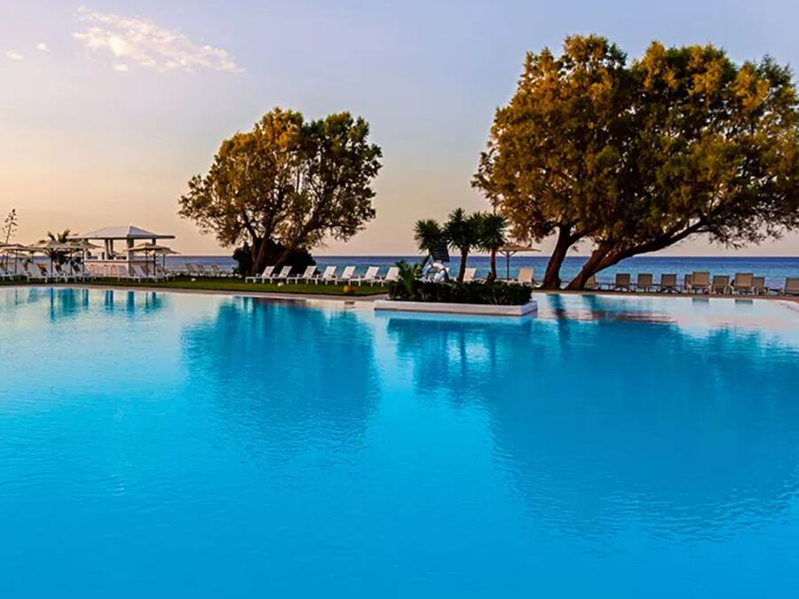 Una piscina con sillas de descanso y sombrillas, rodeada de árboles y un cielo despejado.