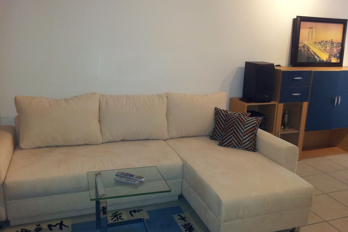 apartment | living area | 55-inch flat-screen tv with satellite channels, tv, pay films