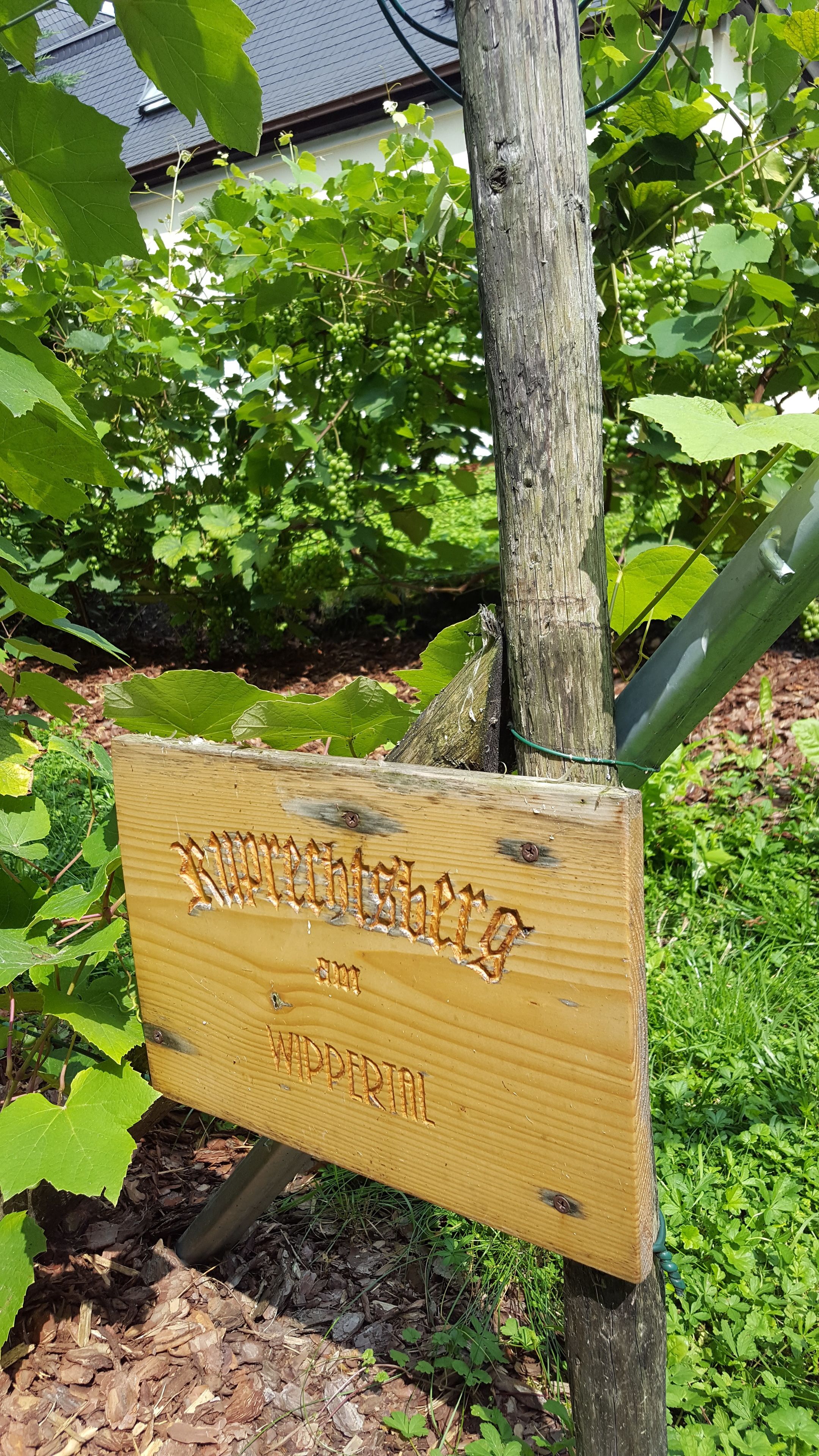 A wooden sign with the text "WIPPERTAL" mounted on a post.