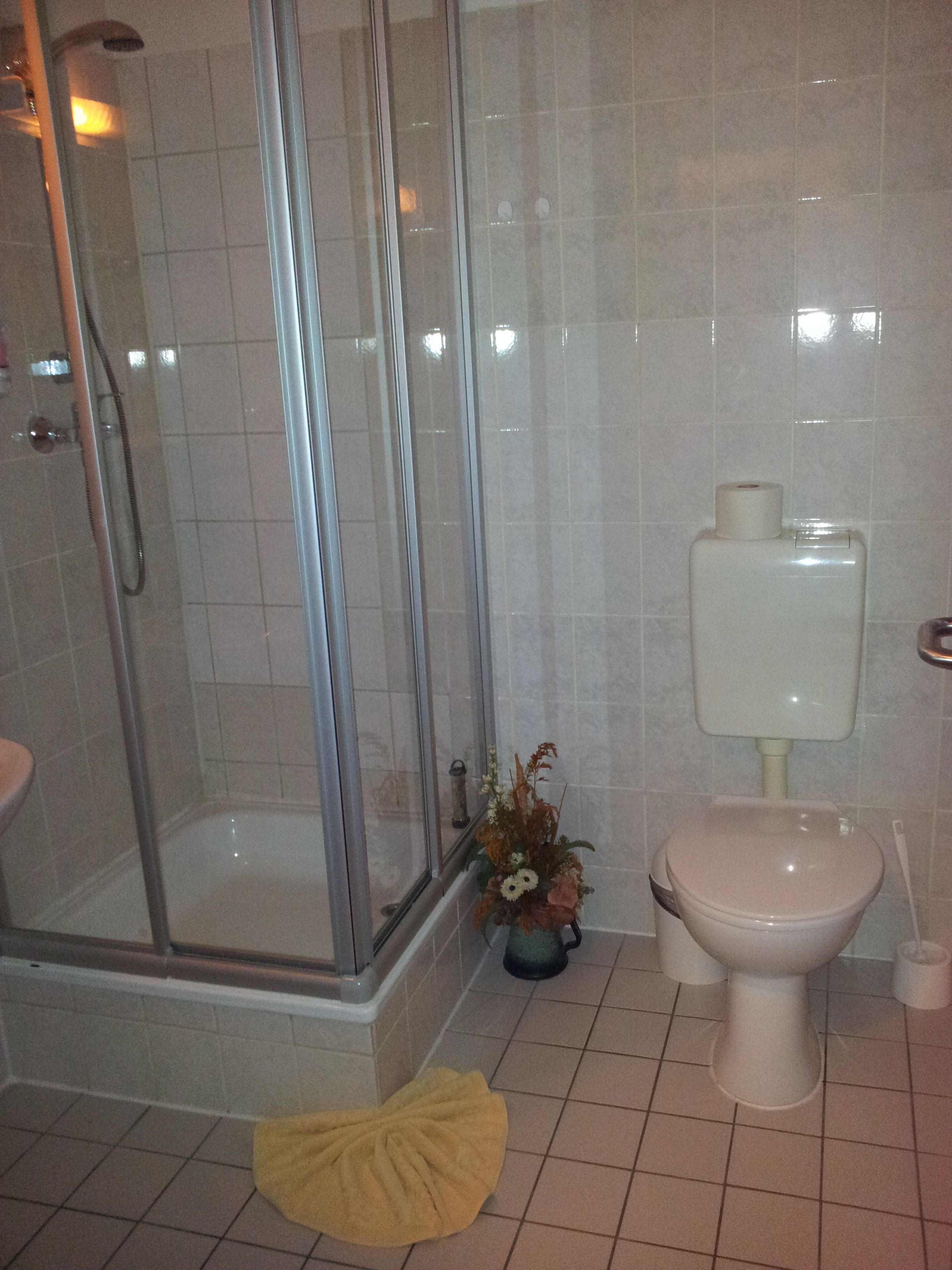 A bathroom with a glass shower enclosure, a toilet, and a small vase with flowers.