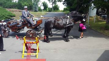 Un carruaje tirado por caballos con un hombre sentado al frente, una mujer de pie junto al carruaje y una barrera amarilla en primer plano.