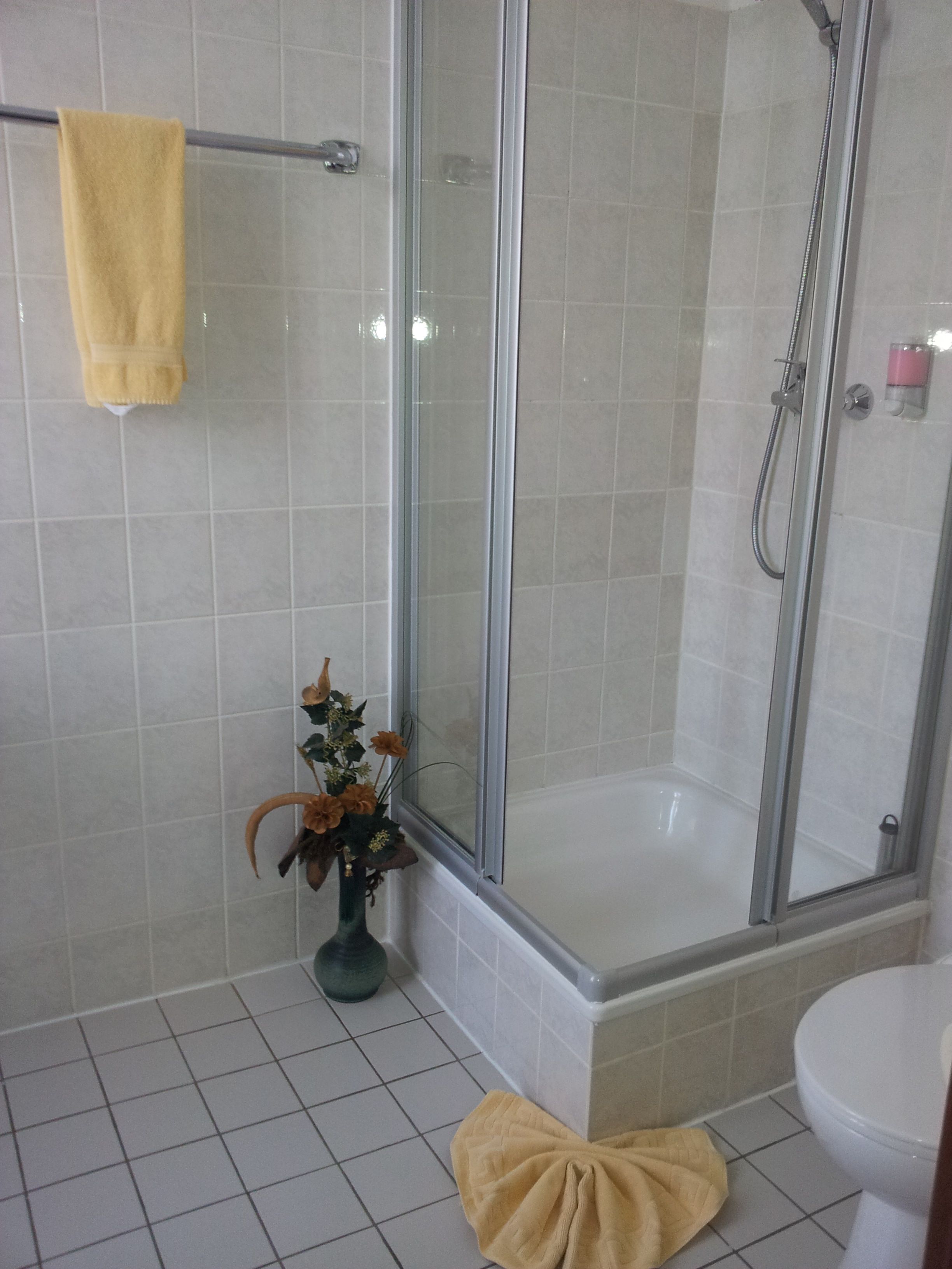 Un bagno con doccia vetrata, un water e un lavandino.