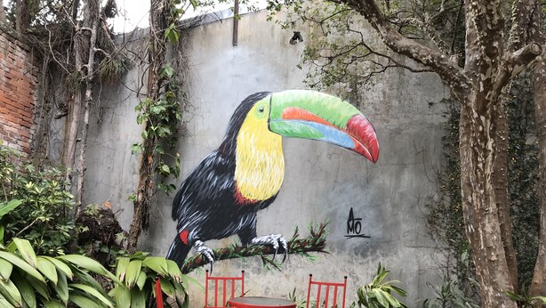 Un mural de tucán en una pared, con un pequeño espacio de asientos al aire libre debajo.