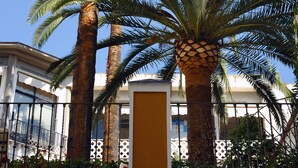 Una palma alta davanti a un edificio con un recinto bianco e un balcone.