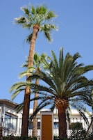 Cortile