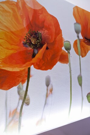 View from room - Best Western Crequi Lyon Part Dieu (Lyon)