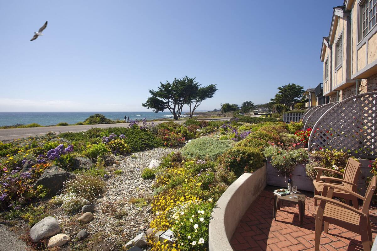 A patio with a view of the ocean, a tree, and a seating area with a table and chairs.