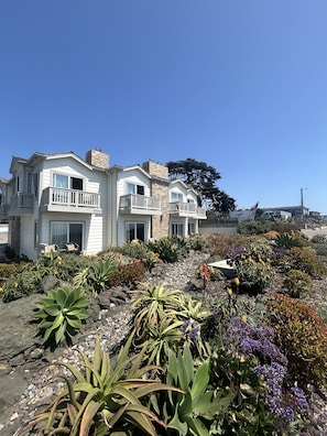 Front of property - Pelican Inn & Suites (Cambria)